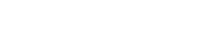 MountainView Data
